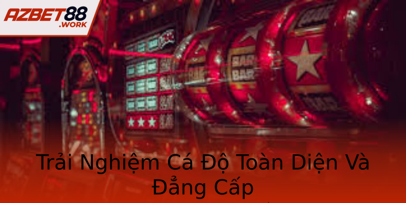 Trải Nghiệm Cá Độ Toàn Diện Và Đẳng Cấp Trải Nghiệm Cá Độ Toàn Diện Và Đẳng Cấp